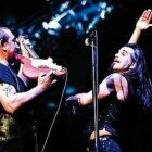 litfiba live rinviato concerto pelù ginocchio