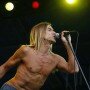 Iggy & The Stooges live firenze 2012