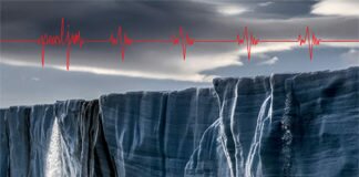 Pearl Jam: Gigaton è il nuovo album del 2020 in uscita a marzo gigaton nuovo album pearl jam 2020