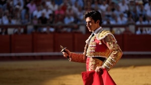 Cahiers du cinéma dice che Pomeriggi di solitudine è il film dell’anno e ha perfettamente ragione