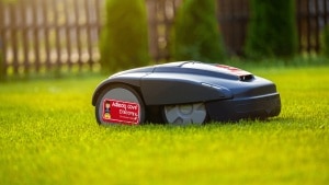 Ci siamo! Offerte imperdibili sui migliori robot tagliaerba disponibili su Amazon