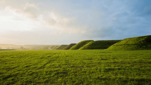 Cultura         
      Quest’anno il Glastonbury non ci sarà perché gli organizzatori vogliono far “riposare” il terreno sul quale si tiene il festival      
        Lo chiamano anno di maggese, ce n'è uno ogni cinque edizioni del festival, serve a far ricrescere l'erba e a far brucare tranquille le mucche.