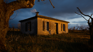Pupi Avati: «‘La casa dalle finestre che ridono’ è uno dei film più spaventosi che vedrete». Ancora oggi