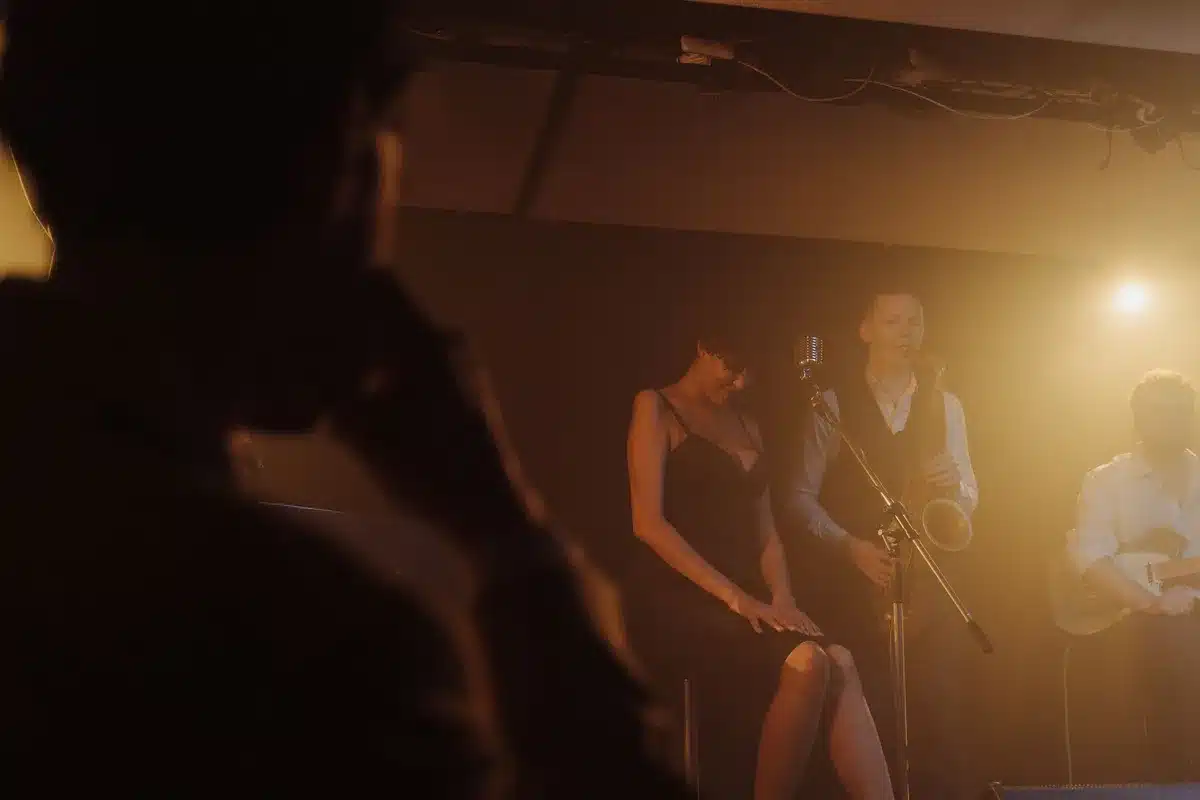 Artista che si esibisce dal vivo sul palco durante un concerto