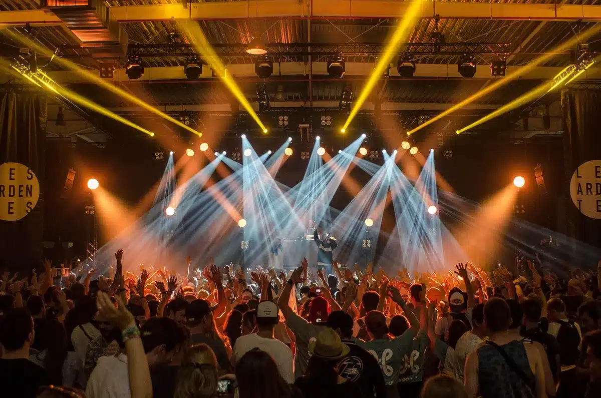 Artista sul palco durante un concerto dal vivo con pubblico