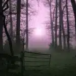 Foresta nebbiosa al tramonto con figure silenziose e atmosfera sovrannaturale
