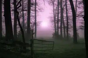 Foresta nebbiosa al tramonto con figure silenziose e atmosfera sovrannaturale