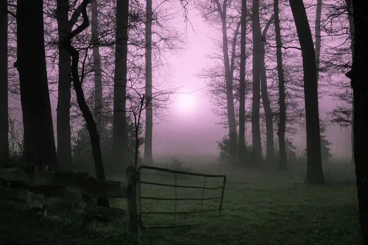 Foresta nebbiosa al tramonto con figure silenziose e atmosfera sovrannaturale