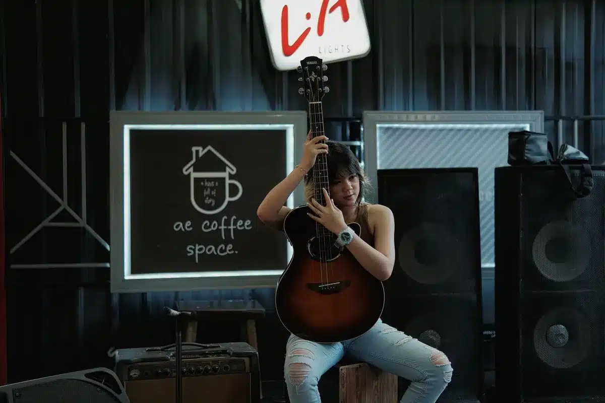 Cantante in silhouette su palco festival con chitarra acustica, folla sullo sfondo al tramonto