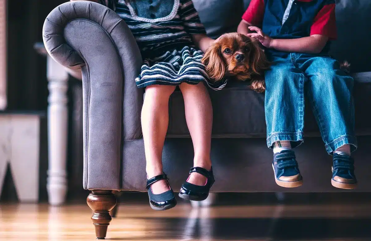 Pubblico e famiglia che guardano una partita, richiamo ai rituali sportivi