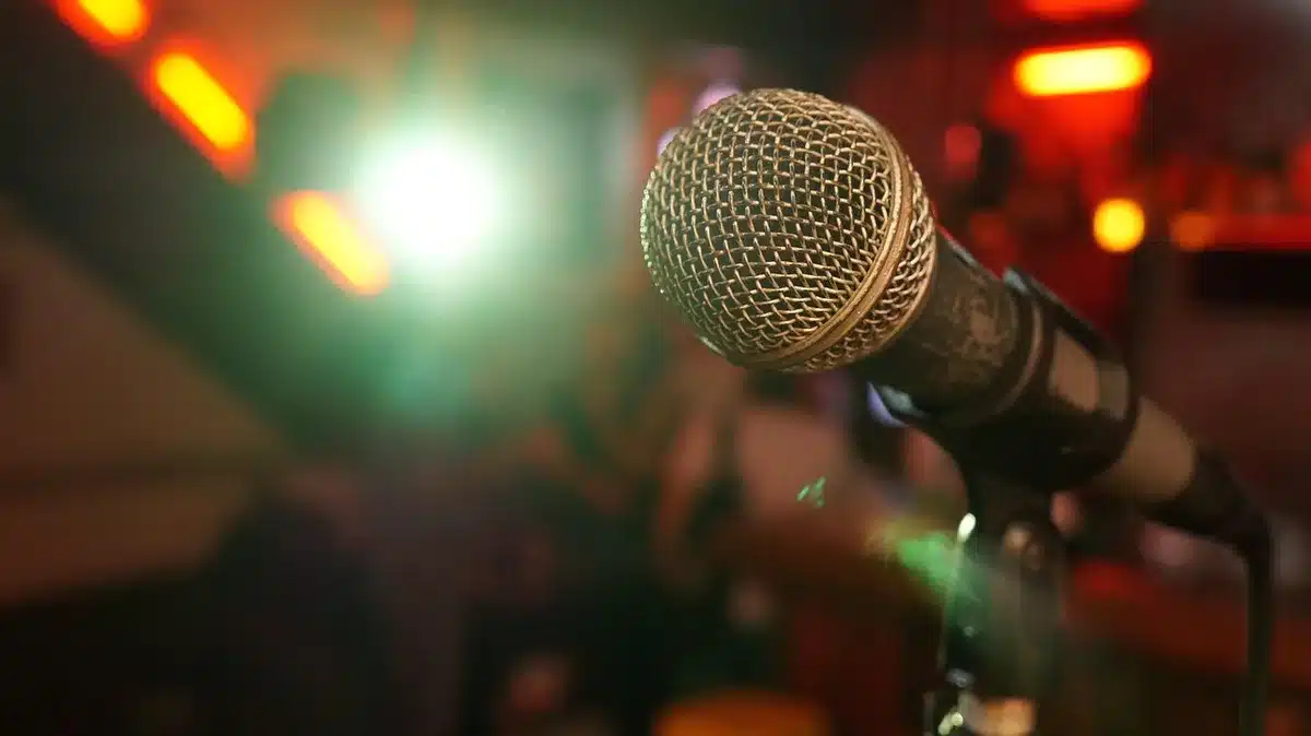 Pubblico in piedi che applaude durante un'esibizione