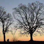 Silhouette di studenti davanti a una villa in stile gotico al crepuscolo