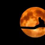 Silhouette di un sito di prova lunare con hardware generico e torre di supporto