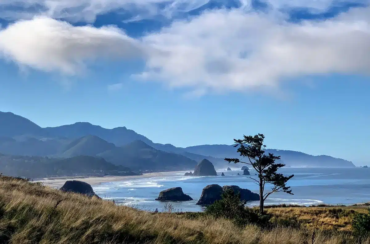 Strada e pini del Pacific Northwest con cartello set cinematografico