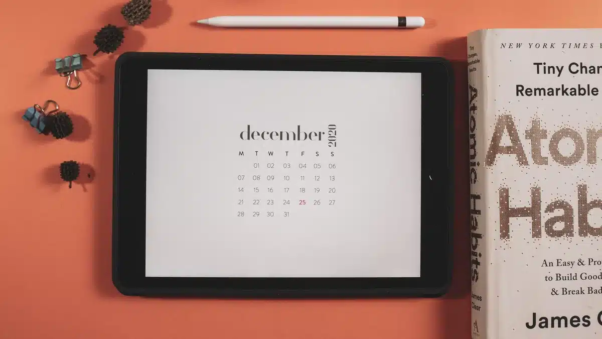 Calendario con date di uscita evidenziate per la seconda stagione